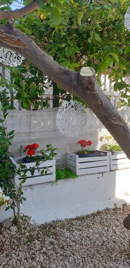 Un Passo Dal Mare Bed&Breakfast San Salvo Marina Экстерьер фото